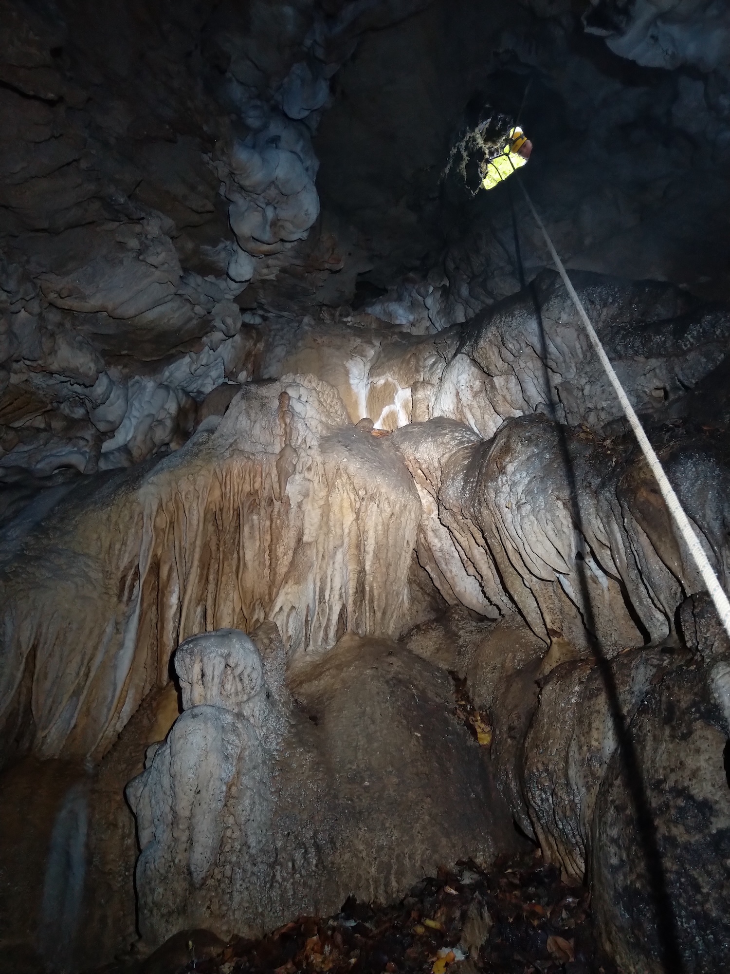 Peștera Nr.8 din Valea Toplița (Avenul Salamandrei) - Image 13